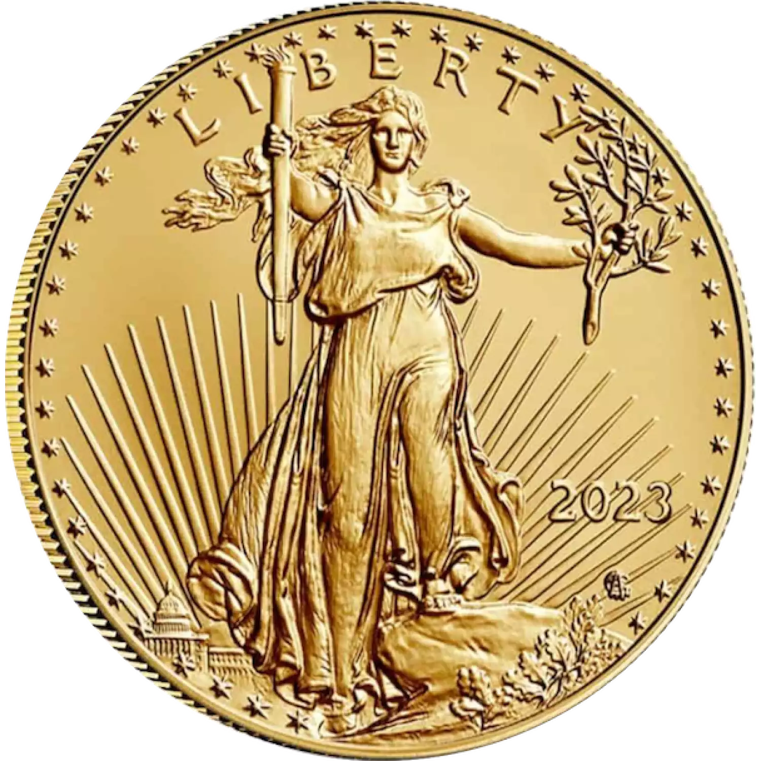1 oz. Proof American Eagle Gold Coin